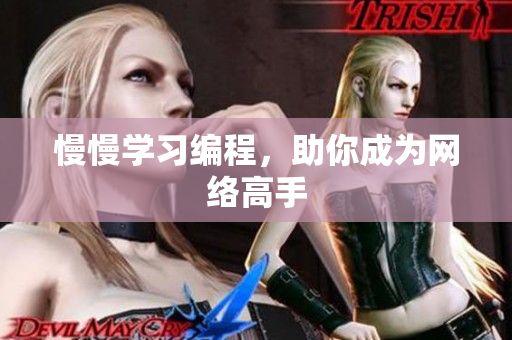 慢慢学习编程，助你成为网络高手