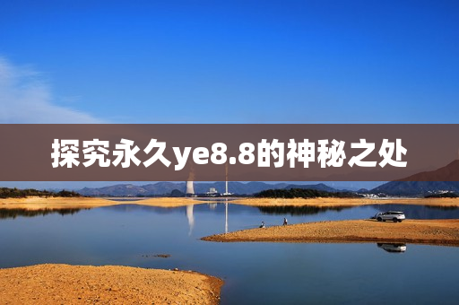 探究永久ye8.8的神秘之处