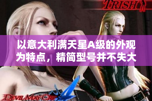 以意大利满天星A级的外观为特点，精简型号并不失大气