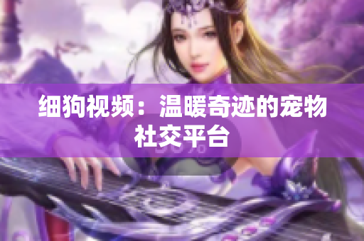 细狗视频：温暖奇迹的宠物社交平台