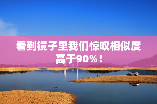 看到镜子里我们惊叹相似度高于90%！