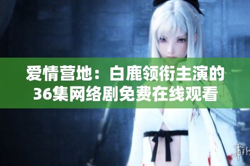 爱情营地：白鹿领衔主演的36集网络剧免费在线观看