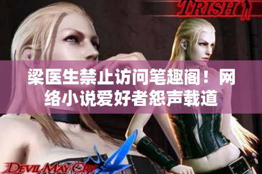 梁医生禁止访问笔趣阁！网络小说爱好者怨声载道