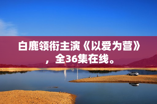 白鹿领衔主演《以爱为营》，全36集在线。