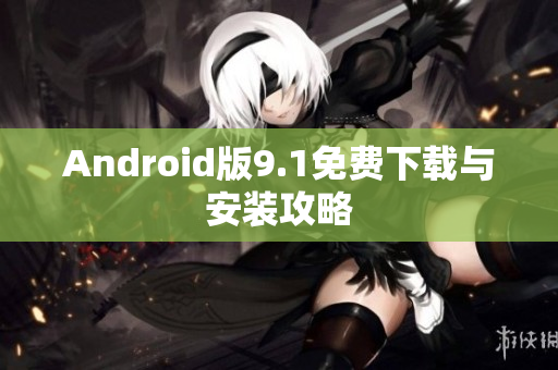 Android版9.1免费下载与安装攻略