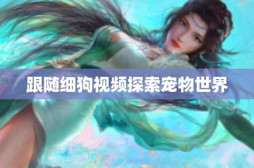 跟随细狗视频探索宠物世界