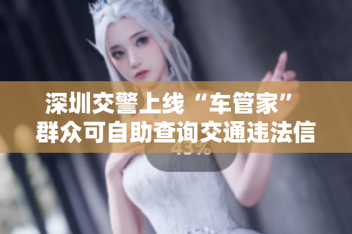 深圳交警上线“车管家” 群众可自助查询交通违法信息