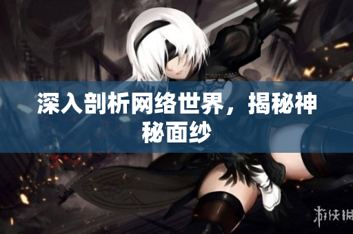 深入剖析网络世界，揭秘神秘面纱