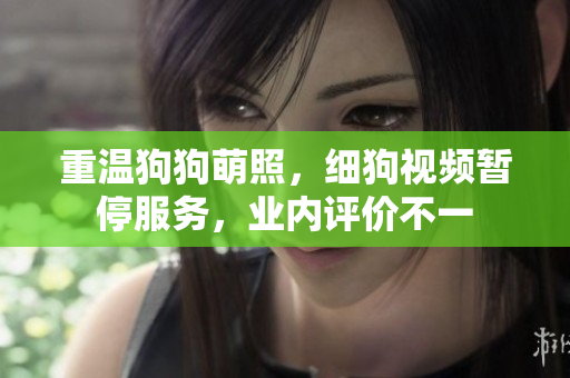 重温狗狗萌照，细狗视频暂停服务，业内评价不一