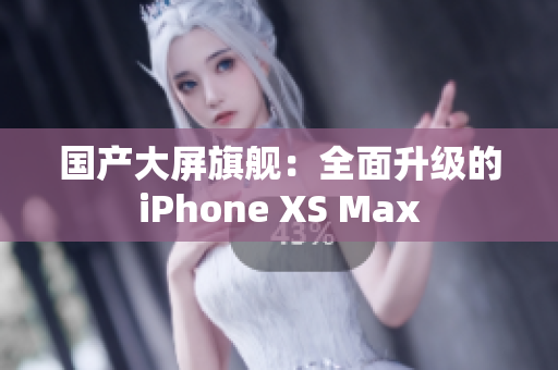 国产大屏旗舰：全面升级的iPhone XS Max