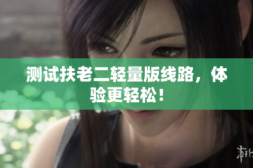 测试扶老二轻量版线路，体验更轻松！