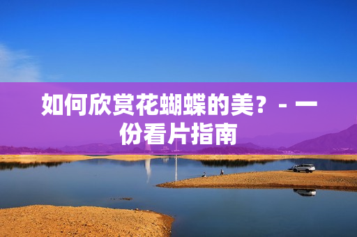如何欣赏花蝴蝶的美？- 一份看片指南