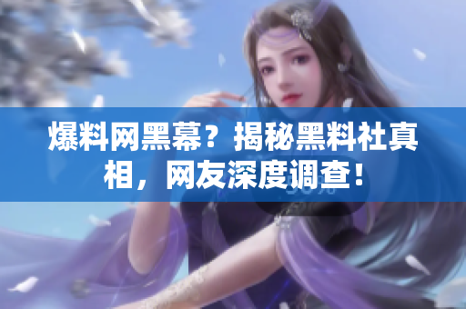 爆料网黑幕？揭秘黑料社真相，网友深度调查！
