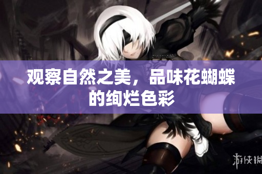 观察自然之美，品味花蝴蝶的绚烂色彩