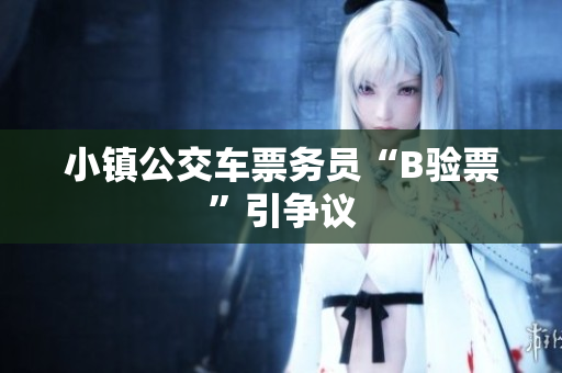 小镇公交车票务员“B验票”引争议