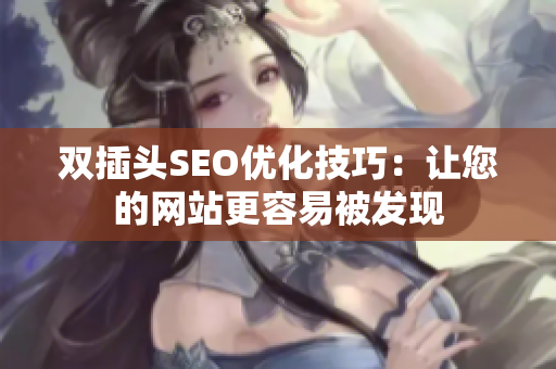 双插头SEO优化技巧：让您的网站更容易被发现