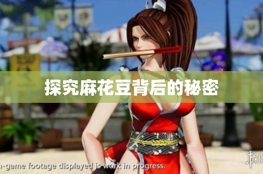 探究麻花豆背后的秘密