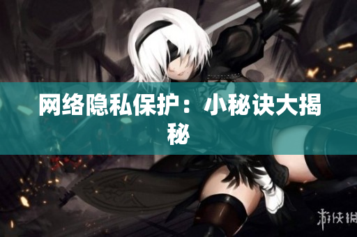 网络隐私保护：小秘诀大揭秘