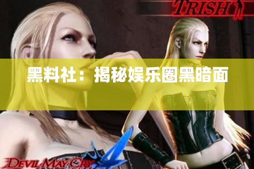 黑料社：揭秘娱乐圈黑暗面 