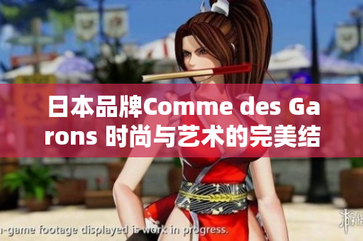 日本品牌Comme des Garons 时尚与艺术的完美结合