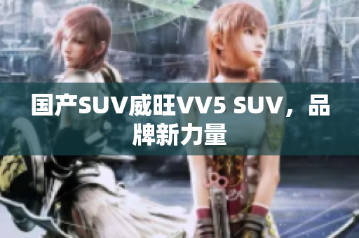 国产SUV威旺VV5 SUV，品牌新力量