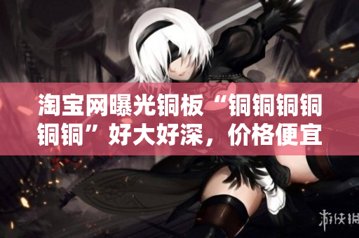 淘宝网曝光铜板“铜铜铜铜铜铜”好大好深，价格便宜实惠