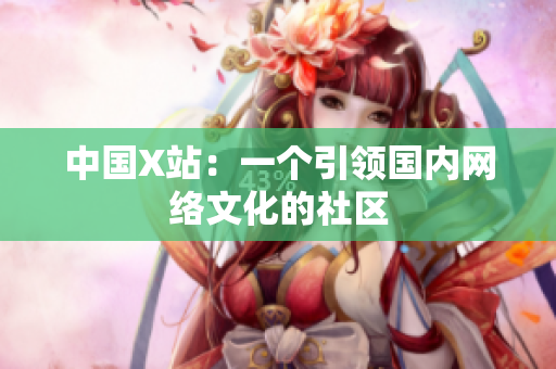 中国X站：一个引领国内网络文化的社区