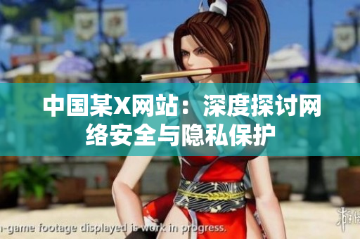 中国某X网站：深度探讨网络安全与隐私保护