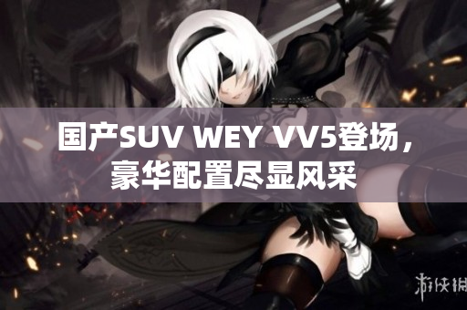 国产SUV WEY VV5登场，豪华配置尽显风采