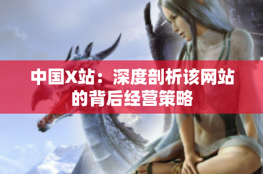中国X站：深度剖析该网站的背后经营策略