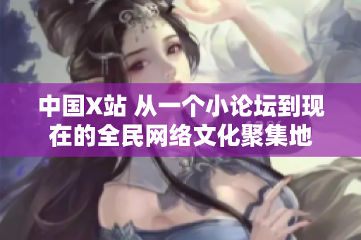 中国X站 从一个小论坛到现在的全民网络文化聚集地