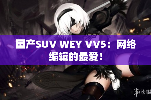 国产SUV WEY VV5：网络编辑的最爱！