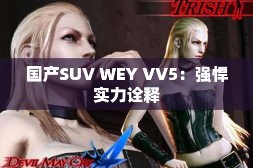 国产SUV WEY VV5：强悍实力诠释