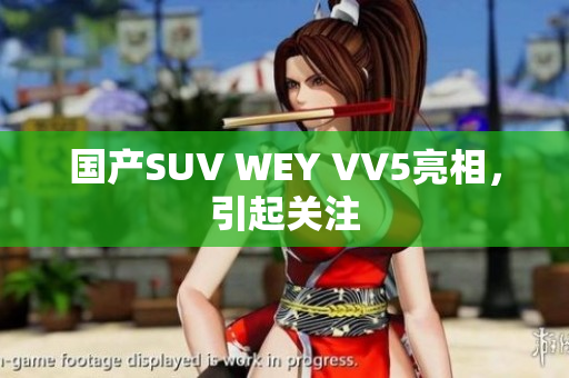 国产SUV WEY VV5亮相，引起关注