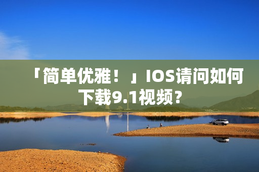 「简单优雅！」IOS请问如何下载9.1视频？