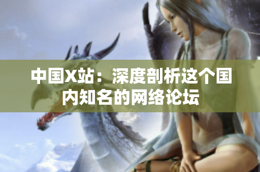 中国X站：深度剖析这个国内知名的网络论坛