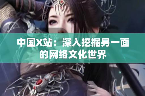 中国X站：深入挖掘另一面的网络文化世界