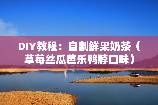 DIY教程：自制鲜果奶茶（草莓丝瓜芭乐鸭脖口味）