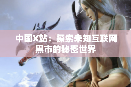 中国X站：探索未知互联网黑市的秘密世界