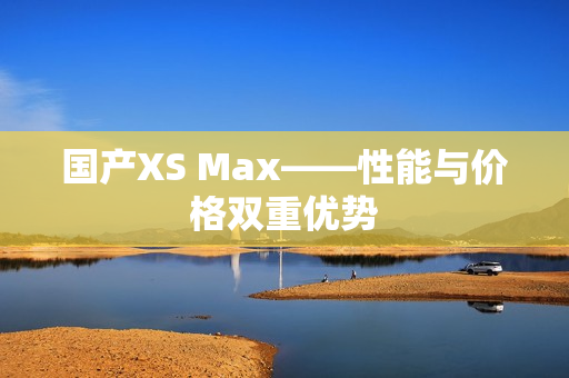 国产XS Max——性能与价格双重优势