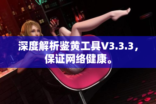 深度解析鉴黄工具V3.3.3，保证网络健康。