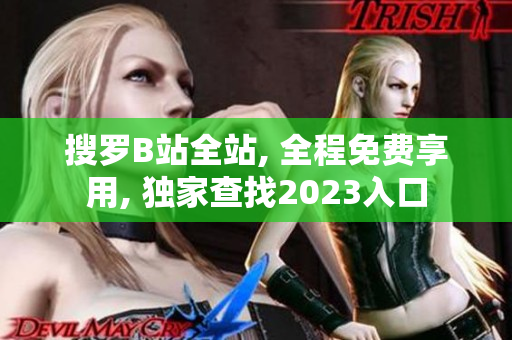 搜罗B站全站, 全程免费享用, 独家查找2023入口