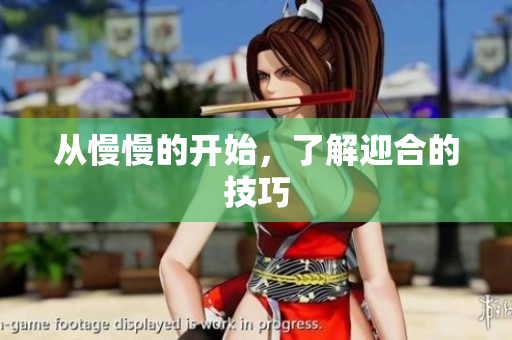 从慢慢的开始，了解迎合的技巧