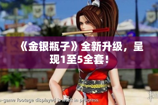 《金银瓶子》全新升级，呈现1至5全套！