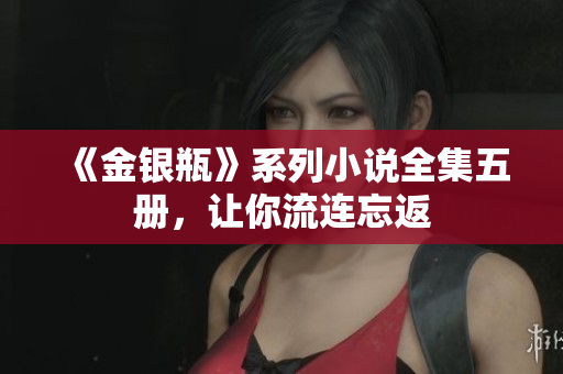 《金银瓶》系列小说全集五册，让你流连忘返