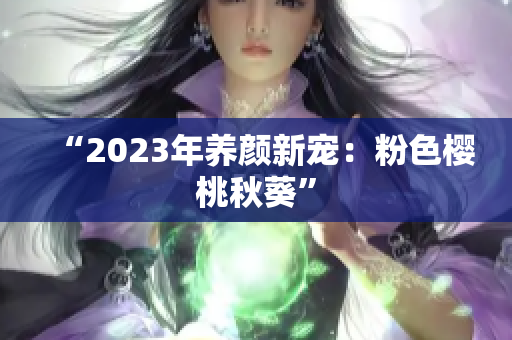 “2023年养颜新宠：粉色樱桃秋葵”