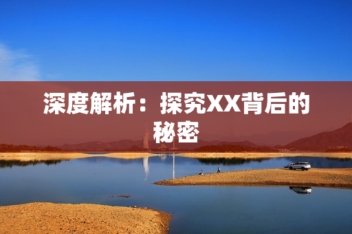 深度解析：探究XX背后的秘密