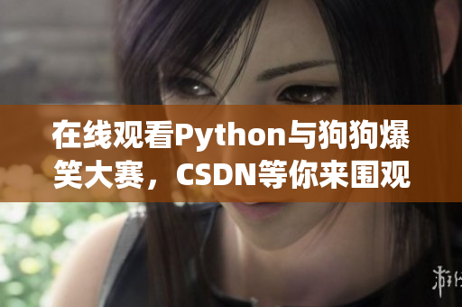 在线观看Python与狗狗爆笑大赛，CSDN等你来围观