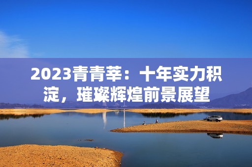 2023青青莘：十年实力积淀，璀璨辉煌前景展望