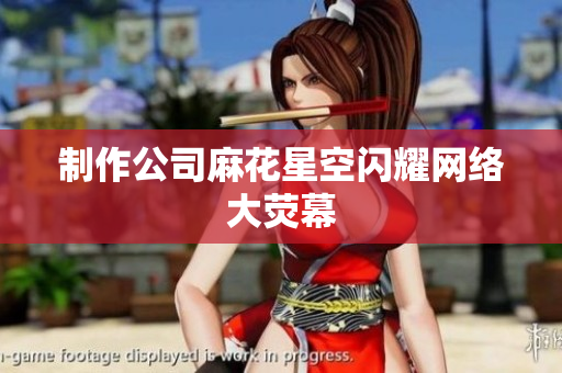 制作公司麻花星空闪耀网络大荧幕